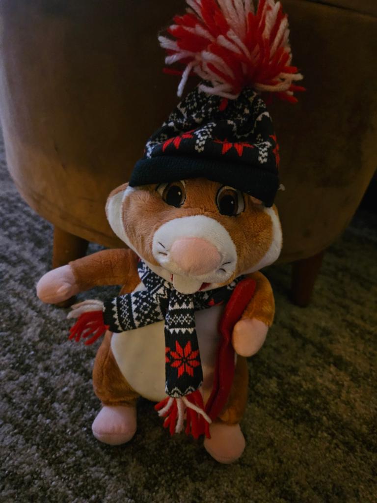 Hamster Knuffel Winter, Hamster, Ophalen of Verzenden, Zo goed als nieuw, Met kleding of accessoire