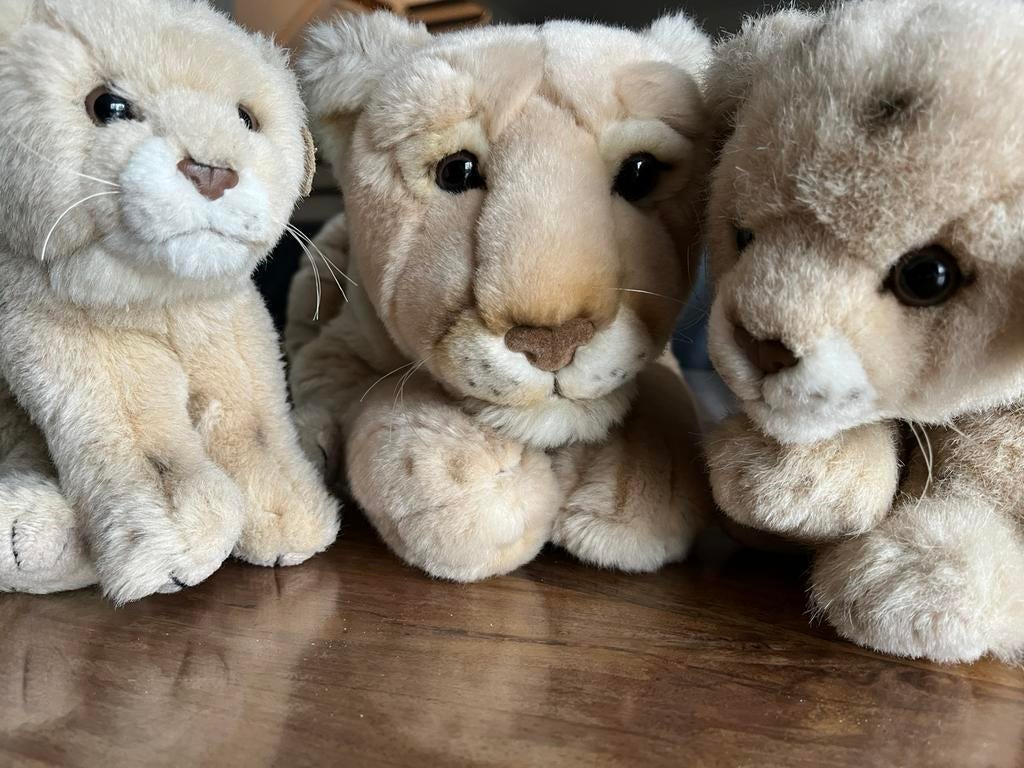Leeuwen familie WWF knuffels, Kinderen en Baby's, Speelgoed | Knuffels en Pluche, Overige merken, Overige typen, Ophalen of Verzenden