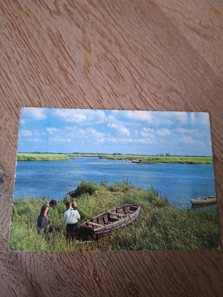 Oude ansichtkaart Biesbosch - Uniek watersportgebied, Ophalen of Verzenden, 1960 tot 1980, Gelopen, Noord-Brabant