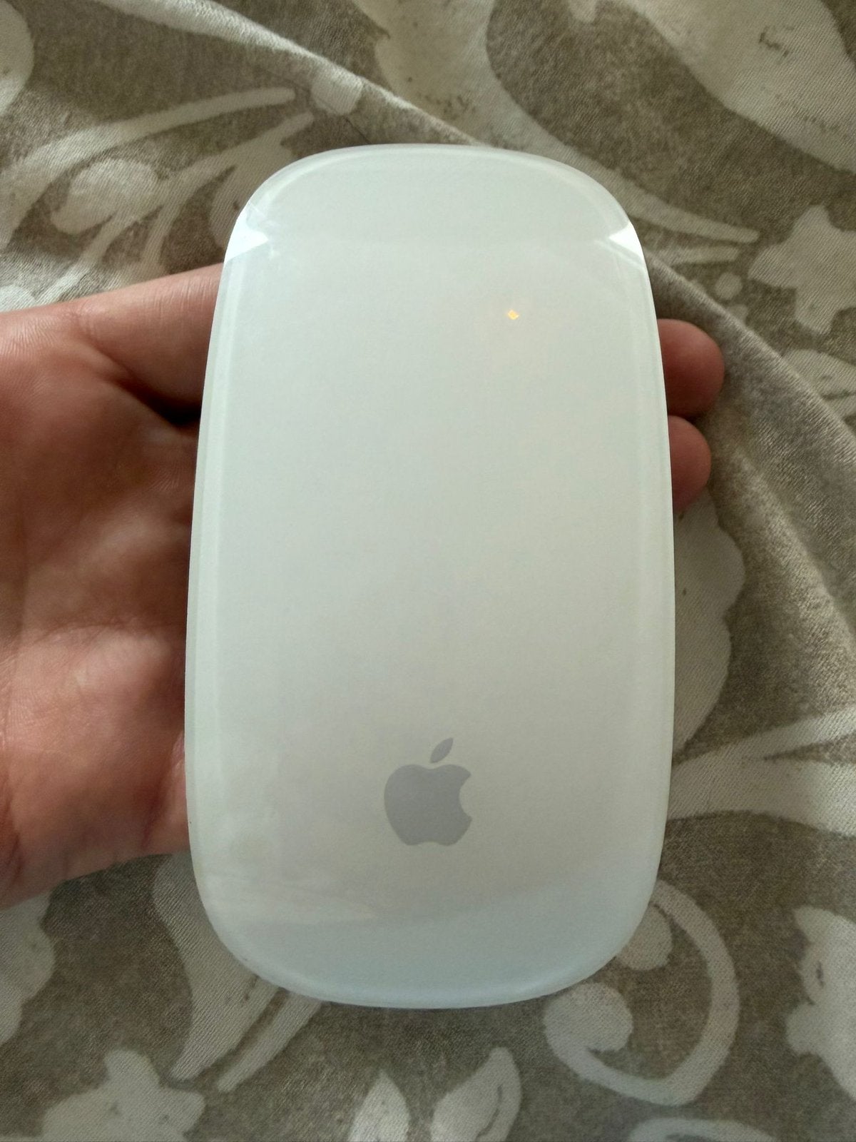 Apple Magic Mouse - Draadloos - In goede staat, Computers en Software, Muizen, Ophalen of Verzenden, Zo goed als nieuw, Draadloos