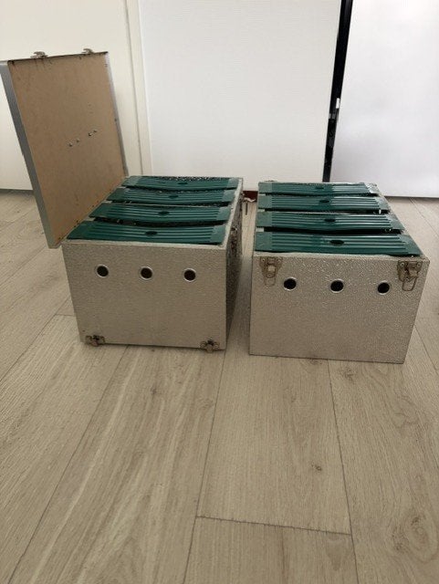 Duiven manden, Dieren en Toebehoren, Meerdere dieren, Postduif