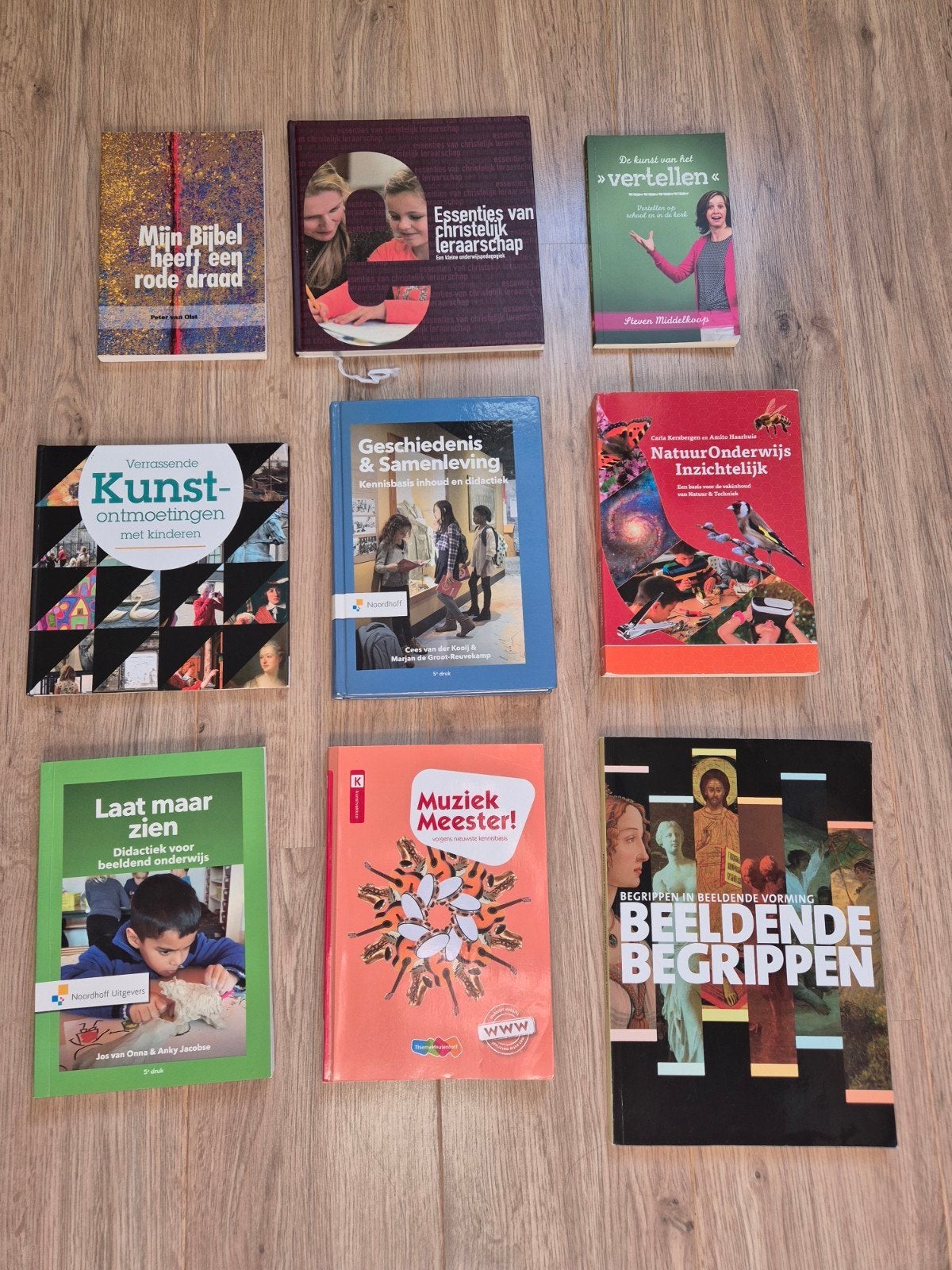 Pabo boeken: diverse titels in goede staat, Ophalen of Verzenden