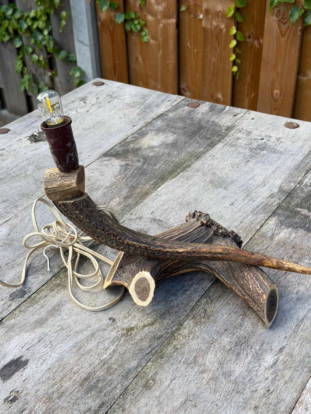Lamp van herten stang, Ophalen of Verzenden