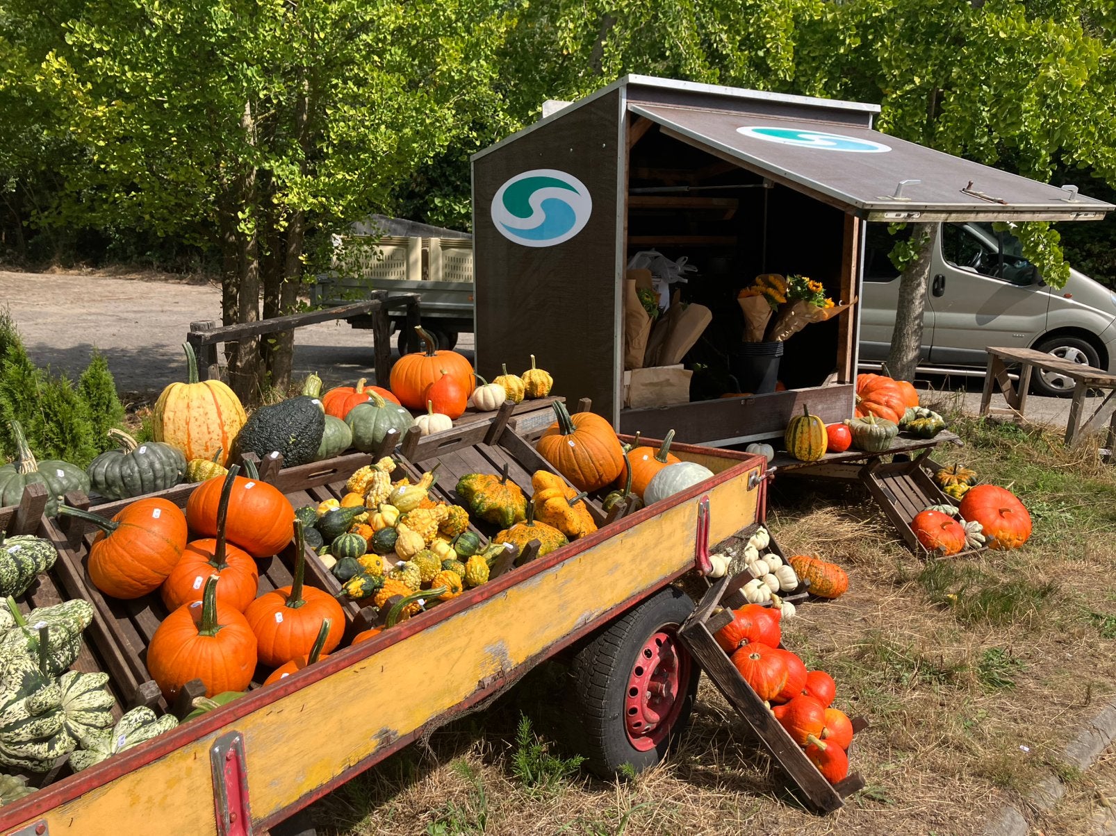 Pompoenen, kalebassen, halloween, Huis en Inrichting, Ophalen of Verzenden
