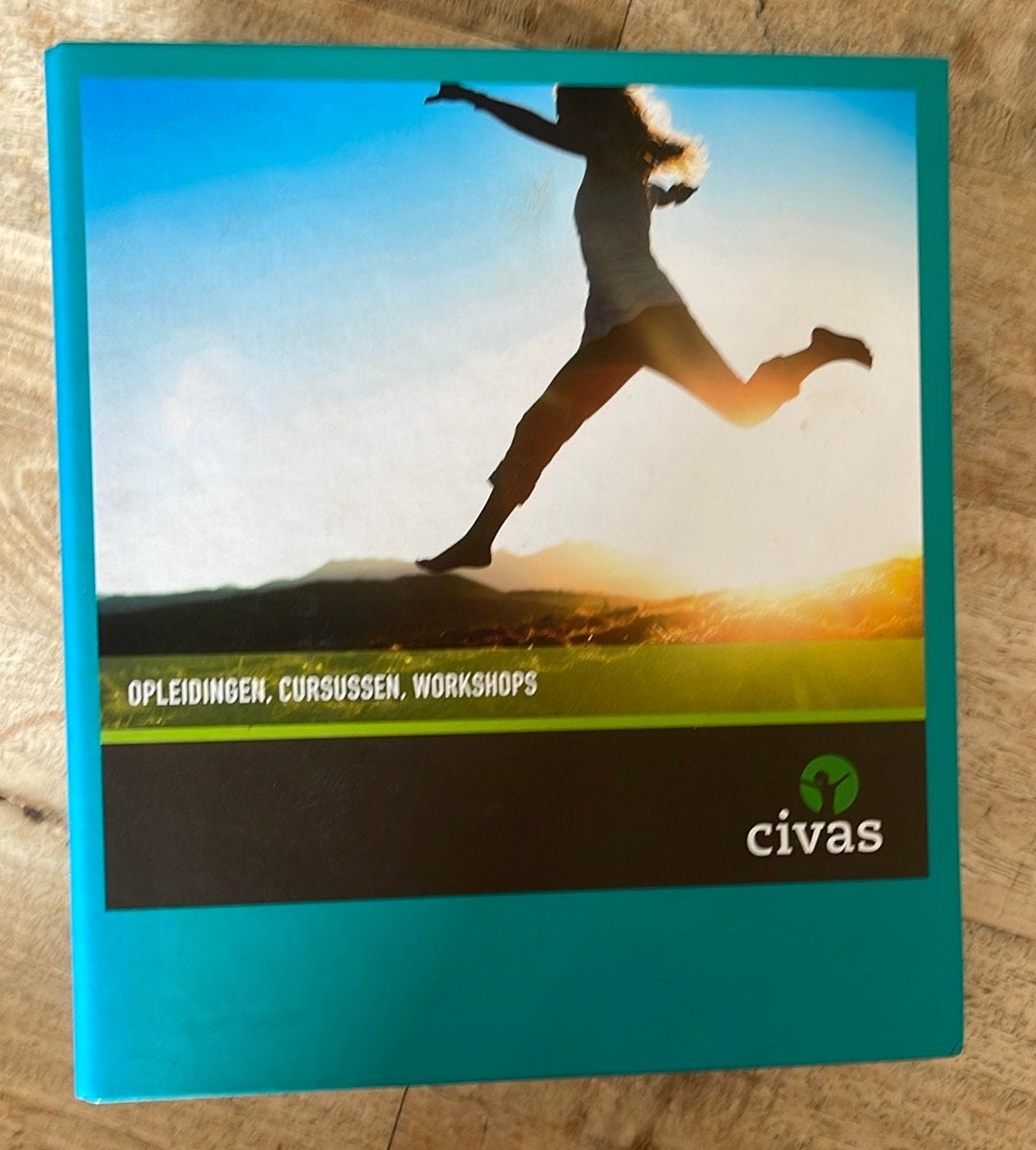 Civas Holistische Massage Opleiding Cursusmap, Ophalen of Verzenden, Gamma, Zo goed als nieuw, MBO