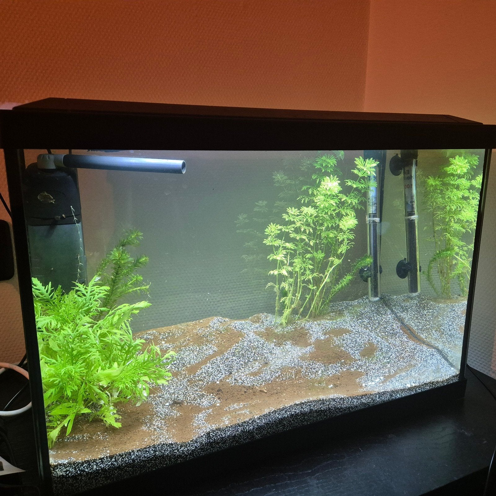 Superfish 70 Liter Aquarium, Dieren en Toebehoren, Vissen | Aquaria en Toebehoren, Ophalen, Leeg aquarium
