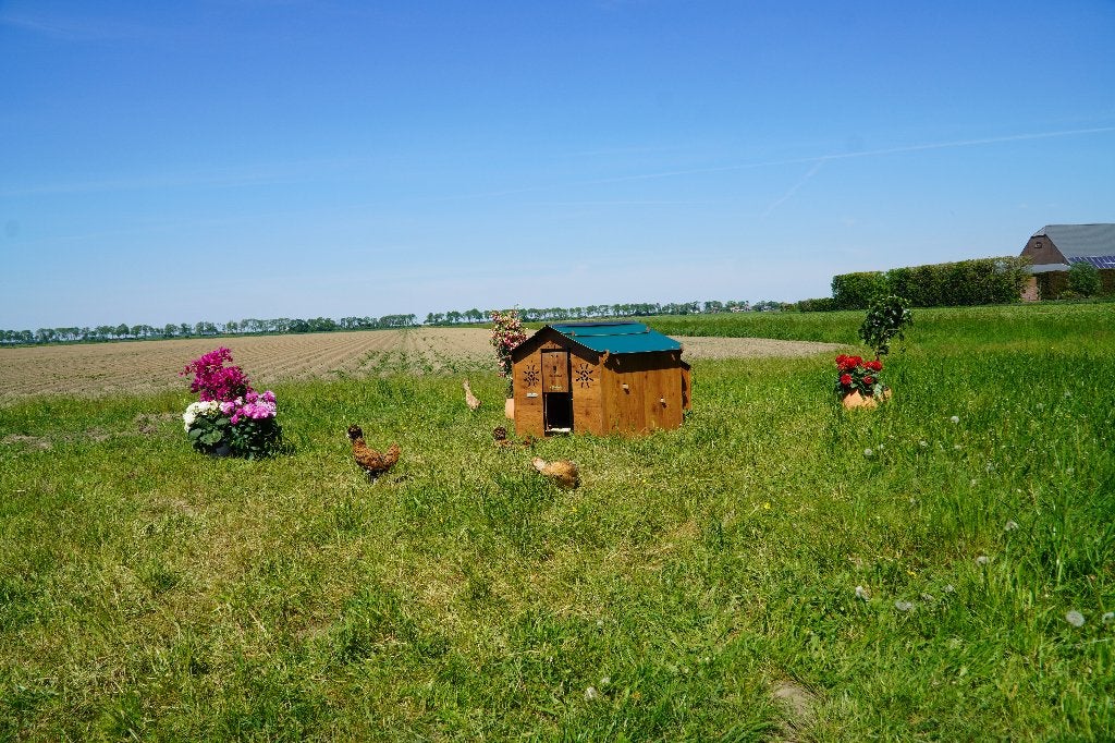 Trespa Kippenhok Cucciolotta | Chalet L, Ophalen of Verzenden, Nieuw, Kippenhok of Kippenren