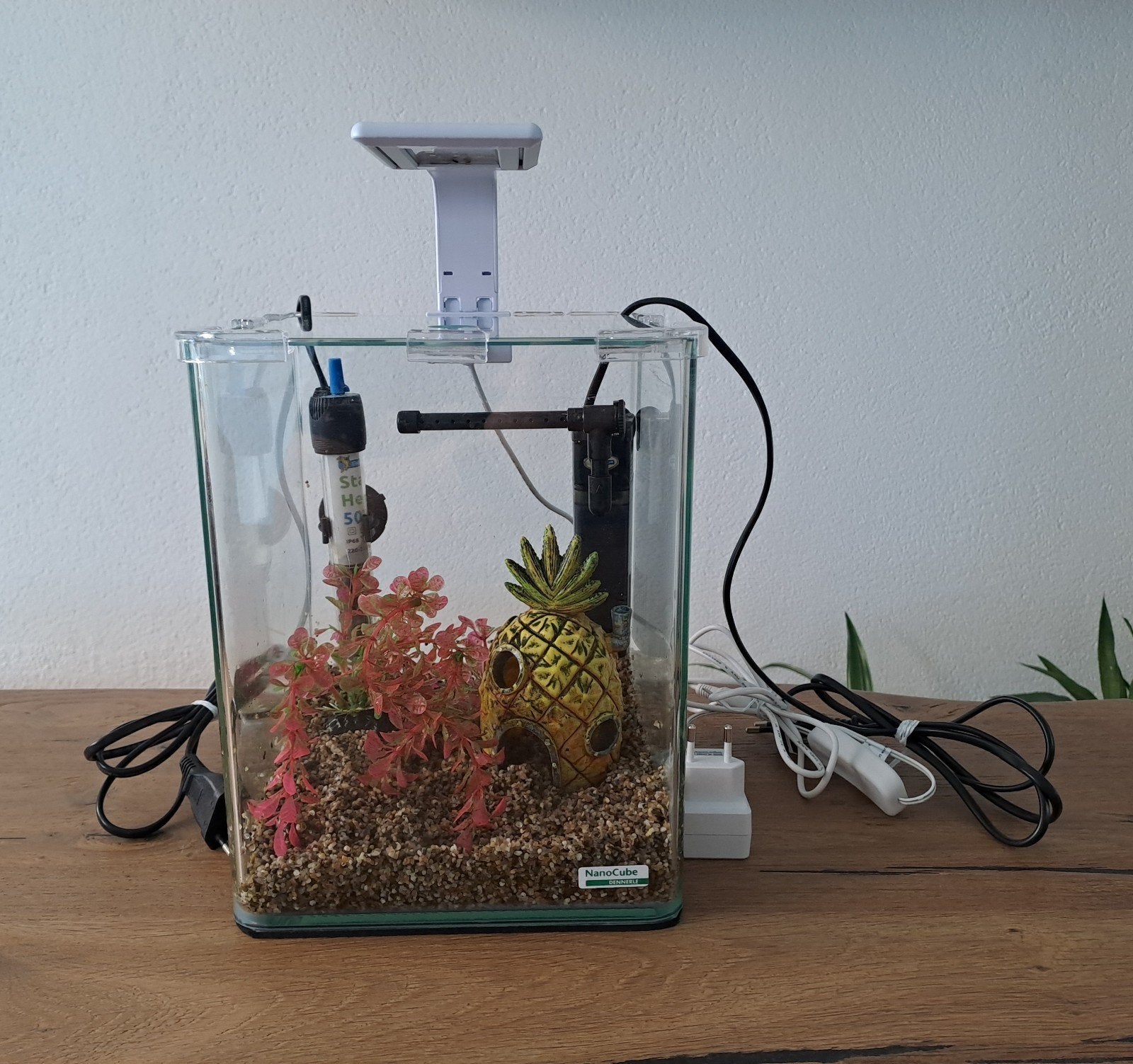 NanoCube Dennerle 10 liter, Ophalen, Inclusief toebehoren, Gebruikt, Dennerle