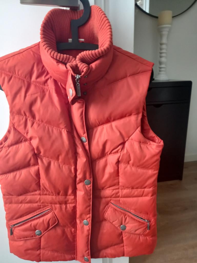 bodywarmer, Maat 38/40 (M), Street One, Oranje, Ophalen of Verzenden