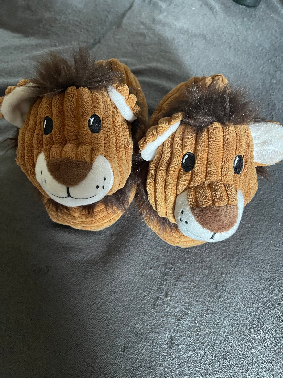 Leuke Kinder Pantoffels - Leeuwen Design Maat 30/31, Jongen of Meisje, Overige typen, Ophalen of Verzenden, Zo goed als nieuw