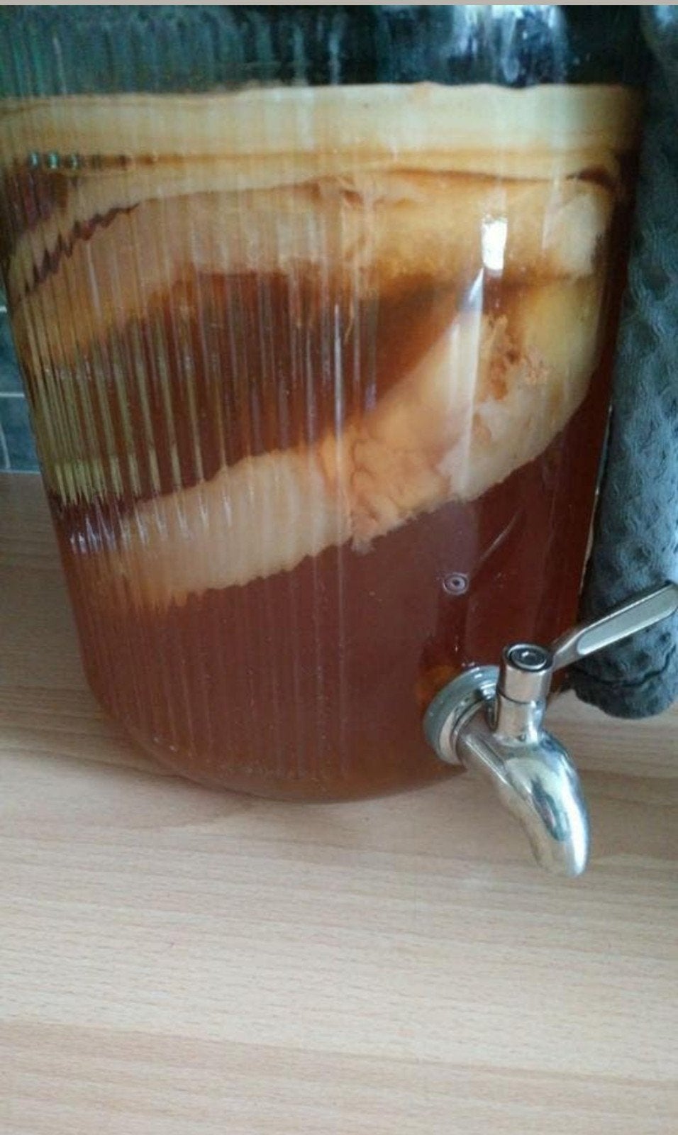 Biologische scoby kombucha thee, Ophalen of Verzenden