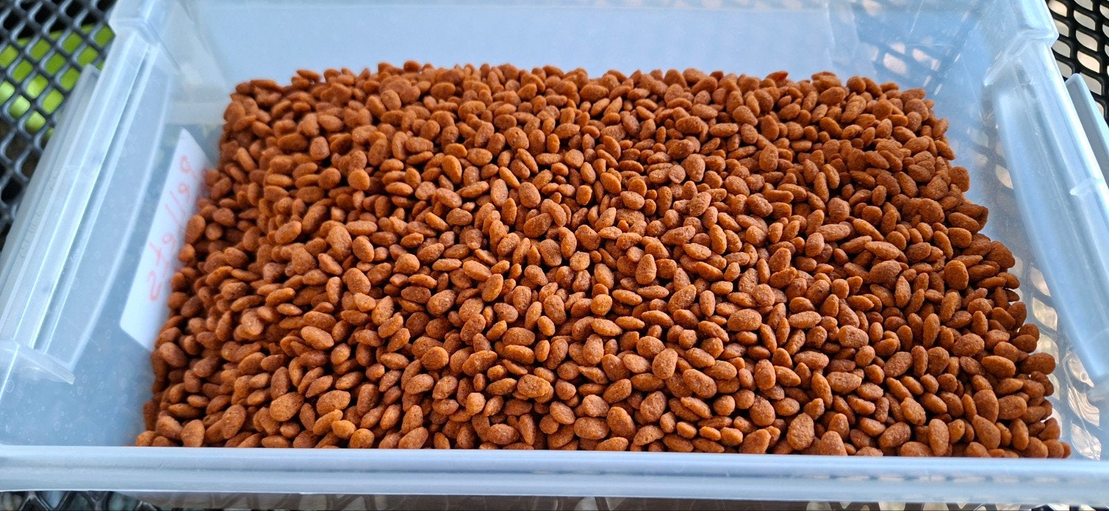 pellets papegaaitjes, Meerdere dieren, Papegaai