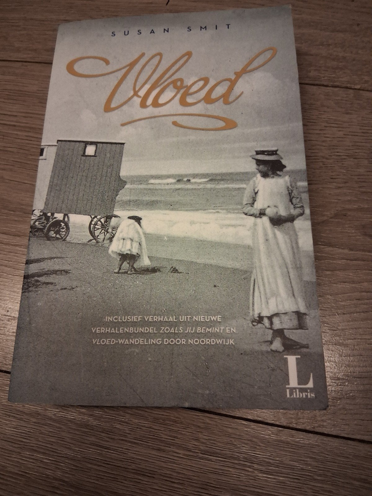 Vloed - Susan Smit (Roman), Boeken, Romans, Zo goed als nieuw, Nederland, Ophalen of Verzenden