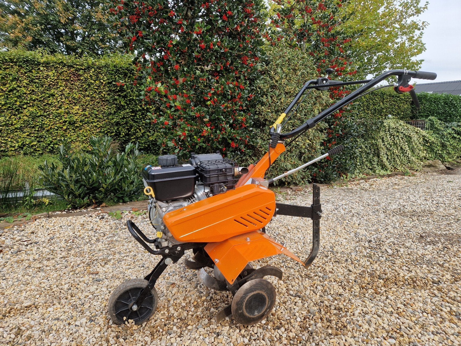 BENASSI BL6000 Tuinfrees Grondfrees Tuin Grond frees, Ophalen of Verzenden, Gebruikt, Benassi