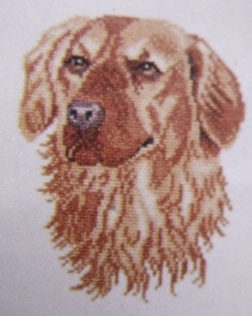 Borduurpakket EVA Rosenstand Golden Retriever schilderij, Ophalen of Verzenden, Zo goed als nieuw, Patroon