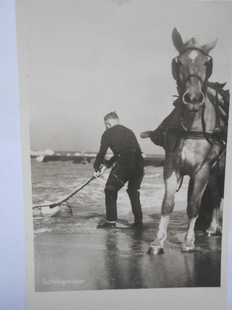 Bergen aan Zee Schelpenvisser met paard oud Bergen aan Zee, Ophalen of Verzenden, 1940 tot 1960, Gelopen, Noord-Holland