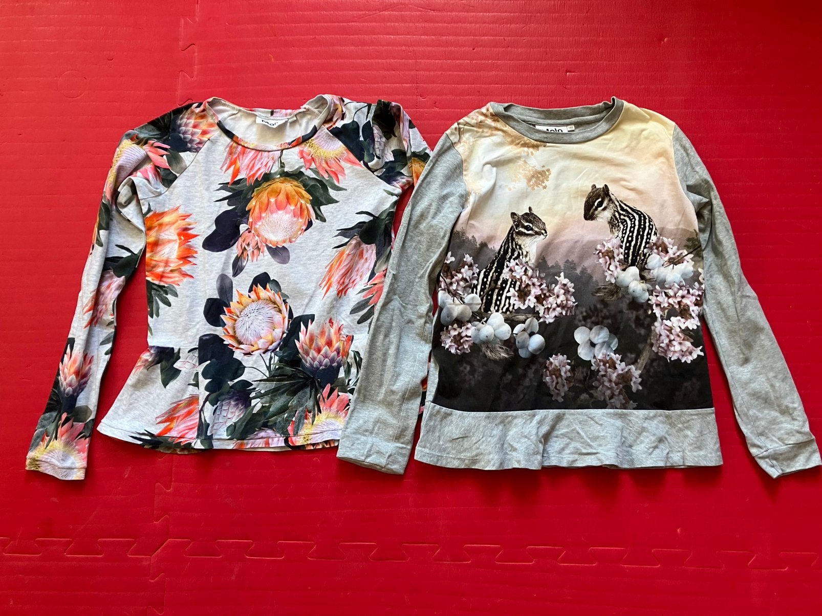 2 Molo longsleeves maat 152, Ophalen of Verzenden, Gebruikt, Meisje, Shirt of Longsleeve