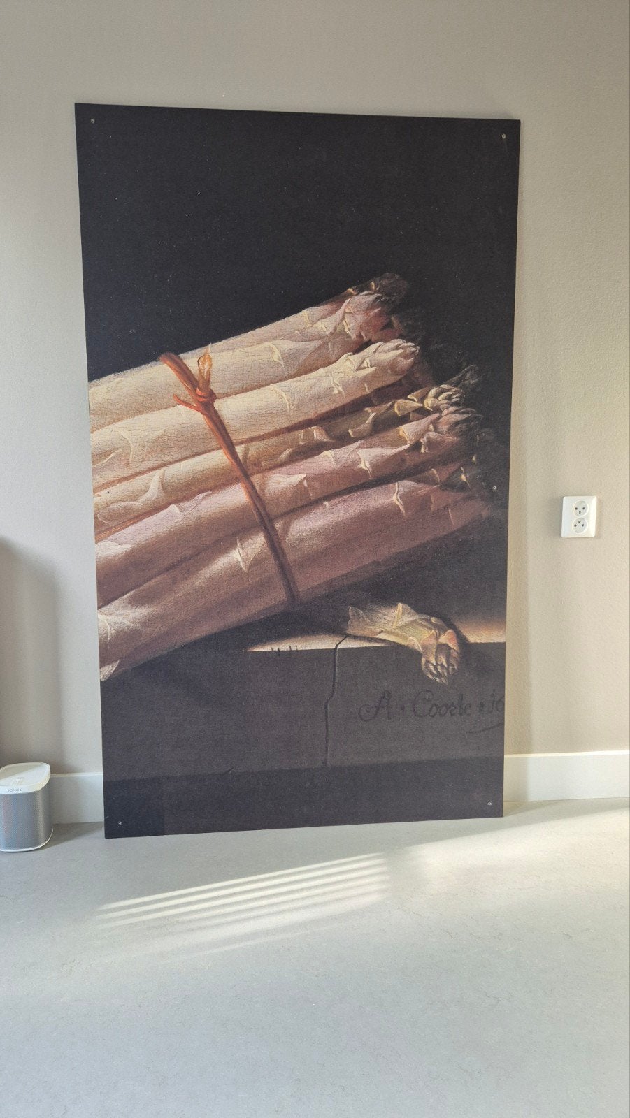 Wandpaneel decoratie bos asperges 160x95 cm, Gebruikt, Overige typen, 125 cm of meer, Ophalen of Verzenden