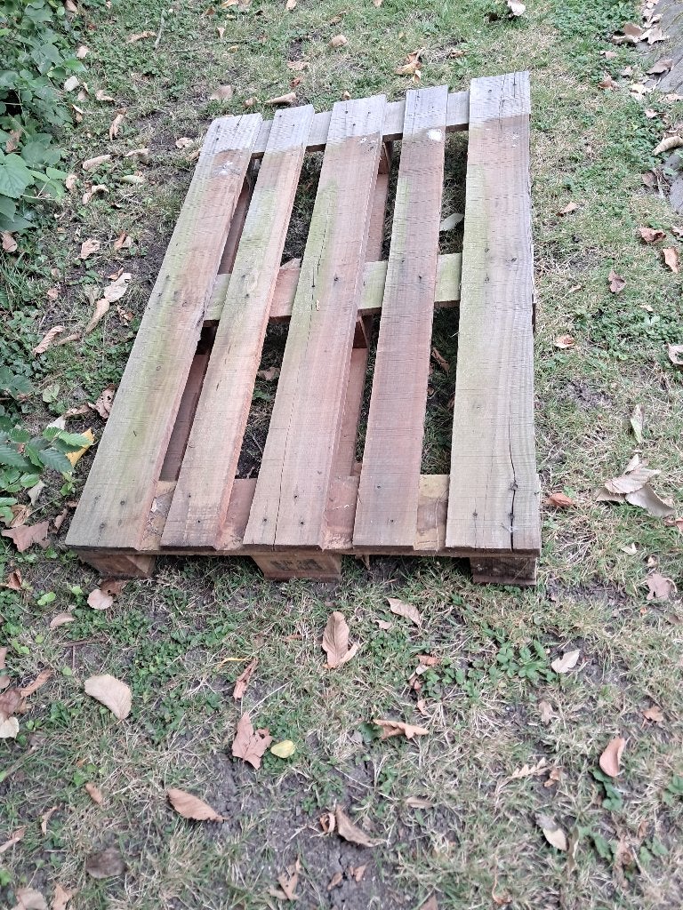 pallet, Doe-het-zelf en Verbouw, Kratten en Dozen, Ophalen, Gebruikt, 100 cm of meer, 60 cm of meer