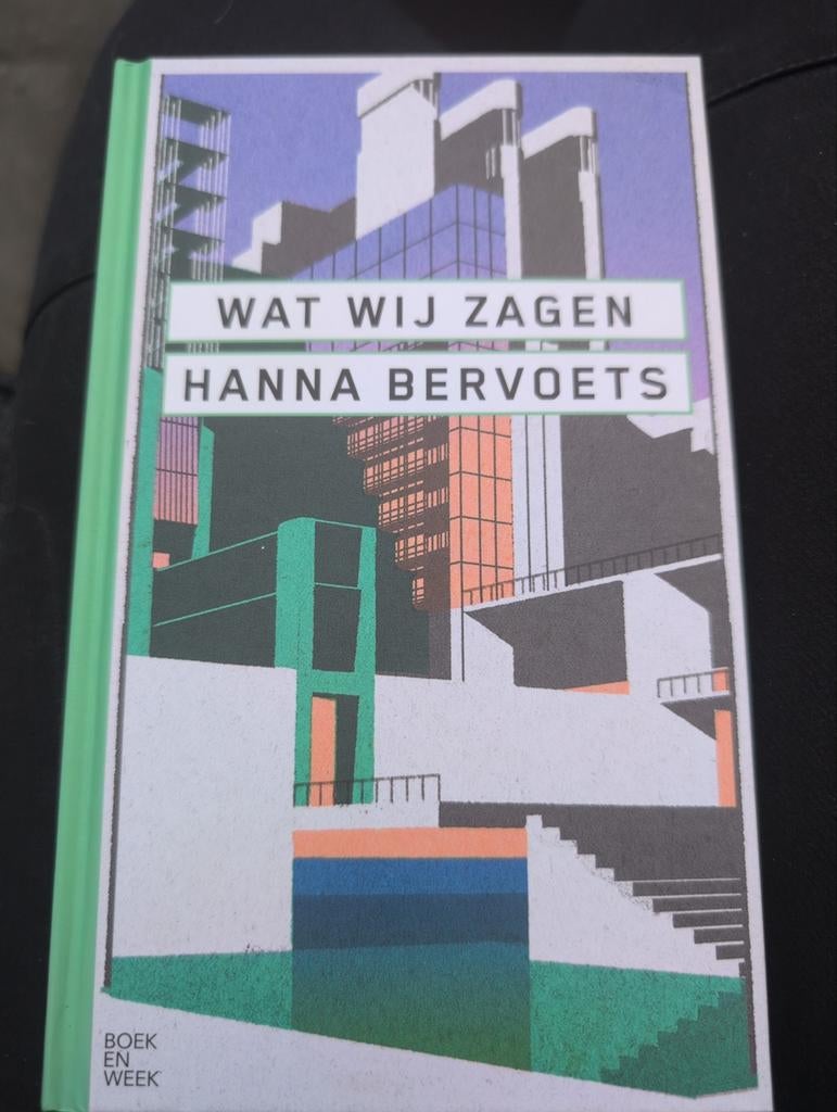Wat wij zagen - Hanna Bervoets, Boeken, Ophalen of Verzenden