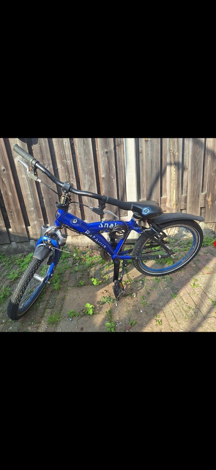 Batavus Snake kinderfiets - 20 inch, Ophalen, Terugtraprem, Batavus, Handrem