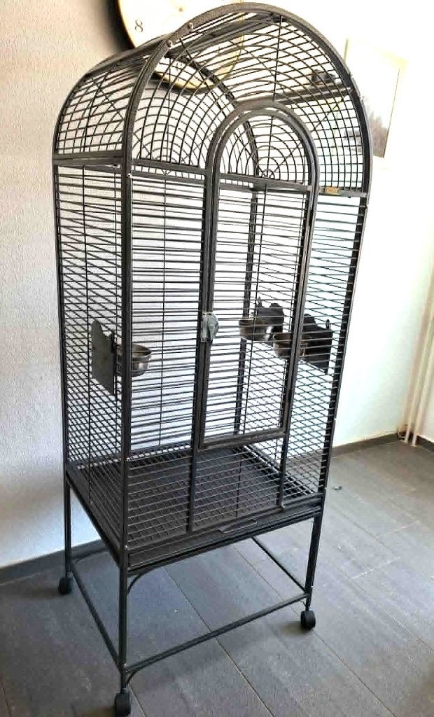 Keddoc Papegaaienkooi, Ophalen, Zo goed als nieuw, Metaal, Vogelkooi