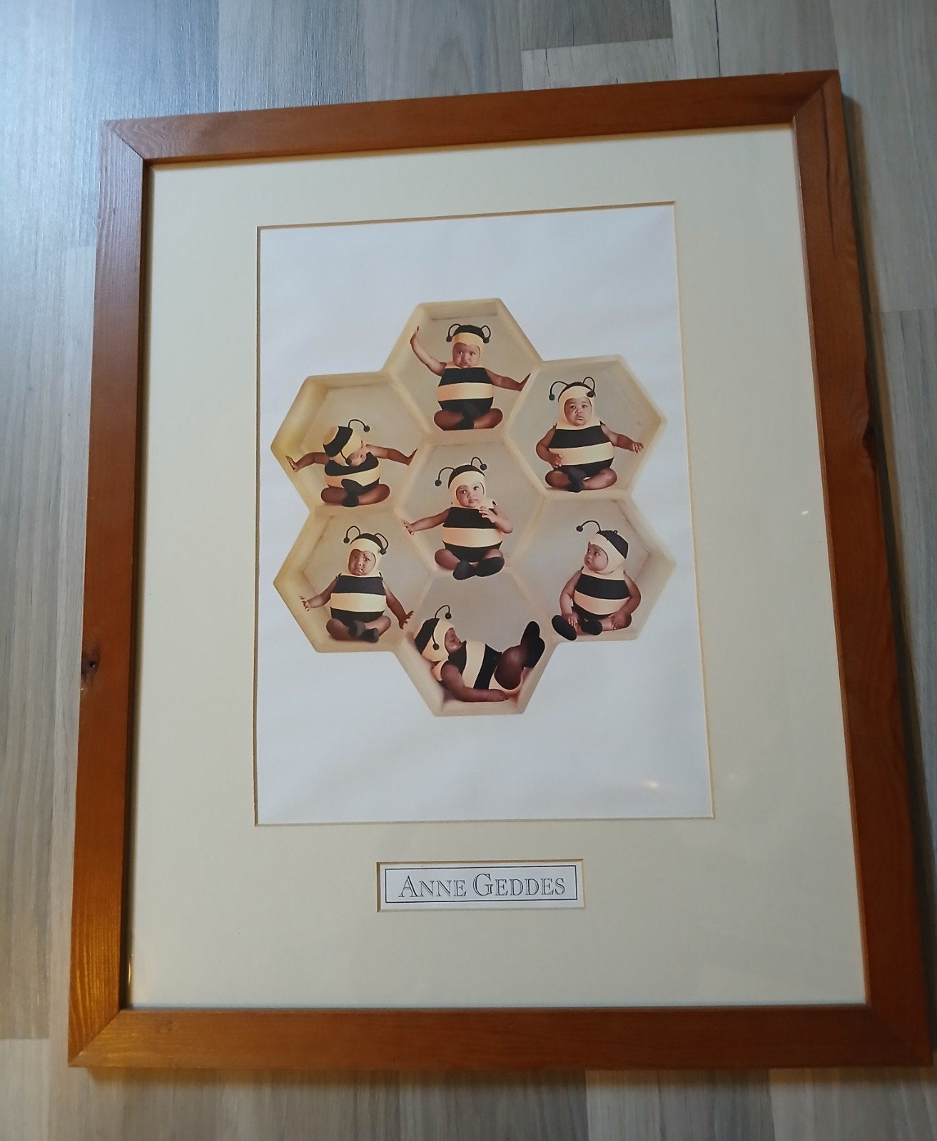Anne Geddes., Ophalen of Verzenden, Zo goed als nieuw, Ingelijst werk