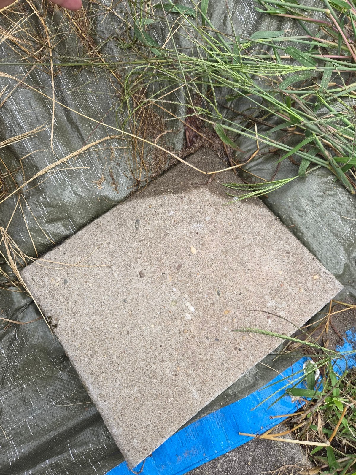 9 stoeltegels gratis af te halen in Assen 30 x 30cm, Ophalen