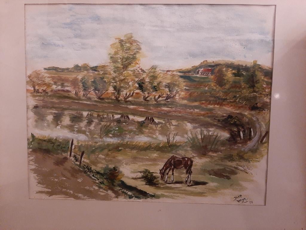 Schilderij grazend paard van Jaap Harjer, Antiek en Kunst, Kunst | Schilderijen | Klassiek, Ophalen