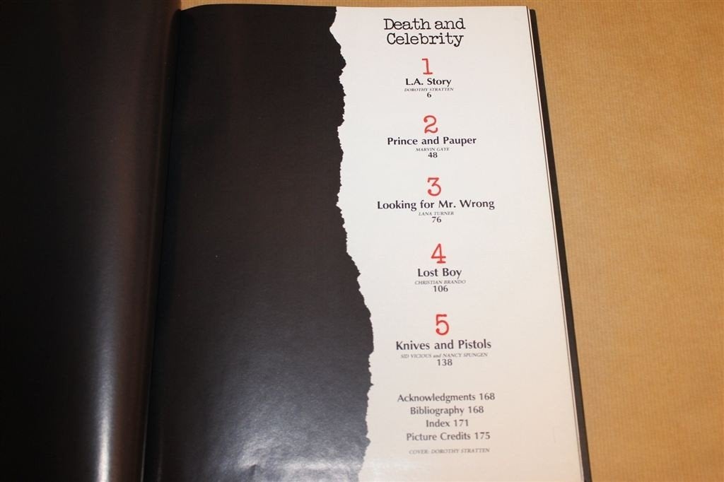 Death & Celebrity — Misdaad & Beroemdheden, True Crime 1993, Boeken, Ophalen of Verzenden, Gelezen, Overige gebieden