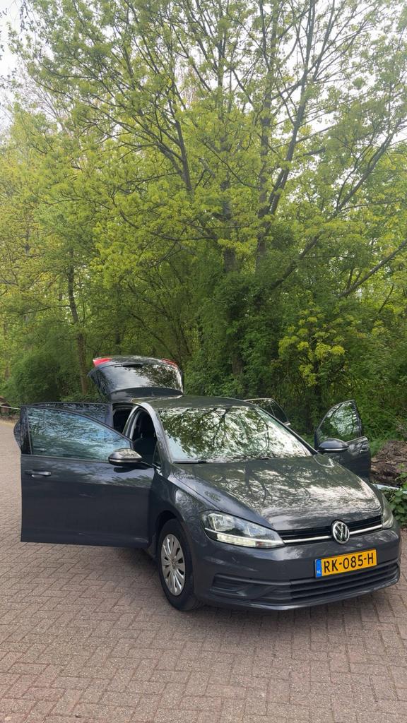 Volkswagen Golf 1.0 TSI 63KW 5D 2017 Grijs, 4 cilinders, 610 kg, Handgeschakeld, 1100 kg