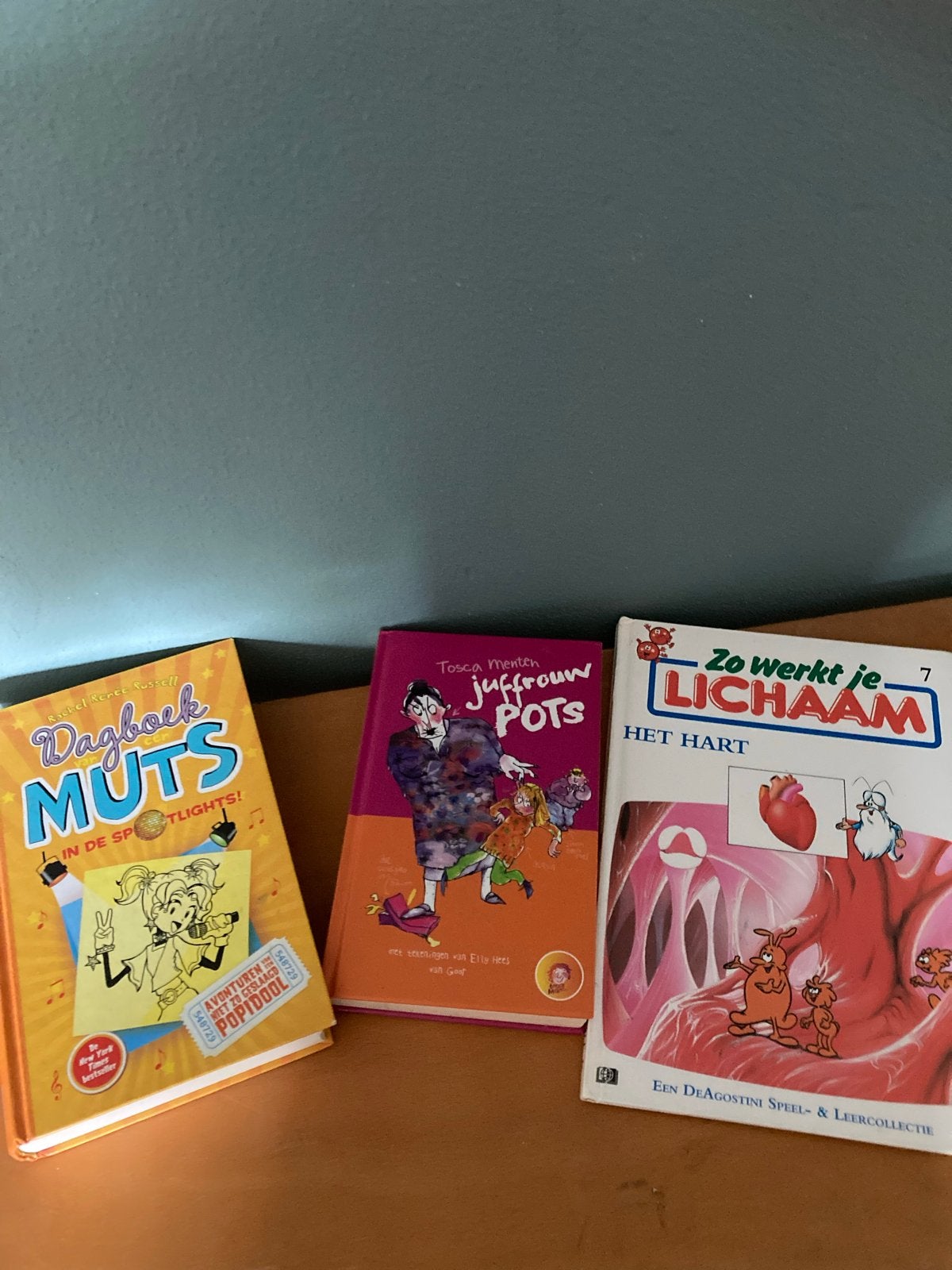 Kinderboeken: Dagboek van een Muts, Juffrouw Pots, Zo werkt, Boeken, Ophalen of Verzenden, Gelezen, Fictie algemeen