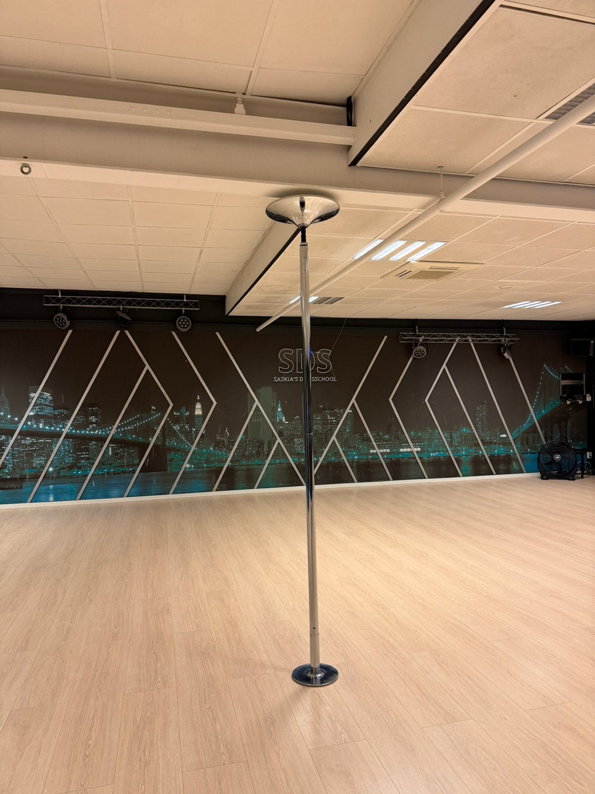Paaldans Paal Professioneel merk Pole, Sport en Fitness, Dansen, Ophalen of Verzenden, Zo goed als nieuw, Overige typen