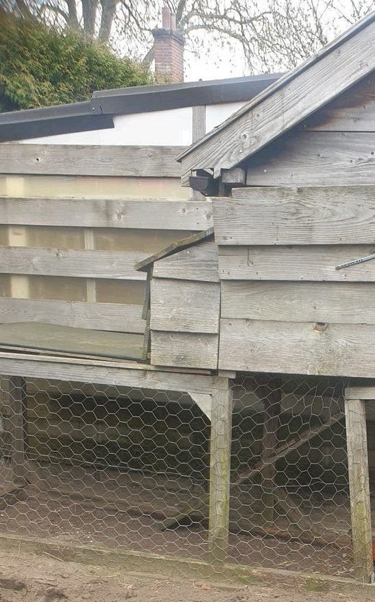 Kippenhok en toebehoren te koop

Na het wegdoen van mijn kip, Dieren en Toebehoren, Pluimvee | Toebehoren, Ophalen of Verzenden