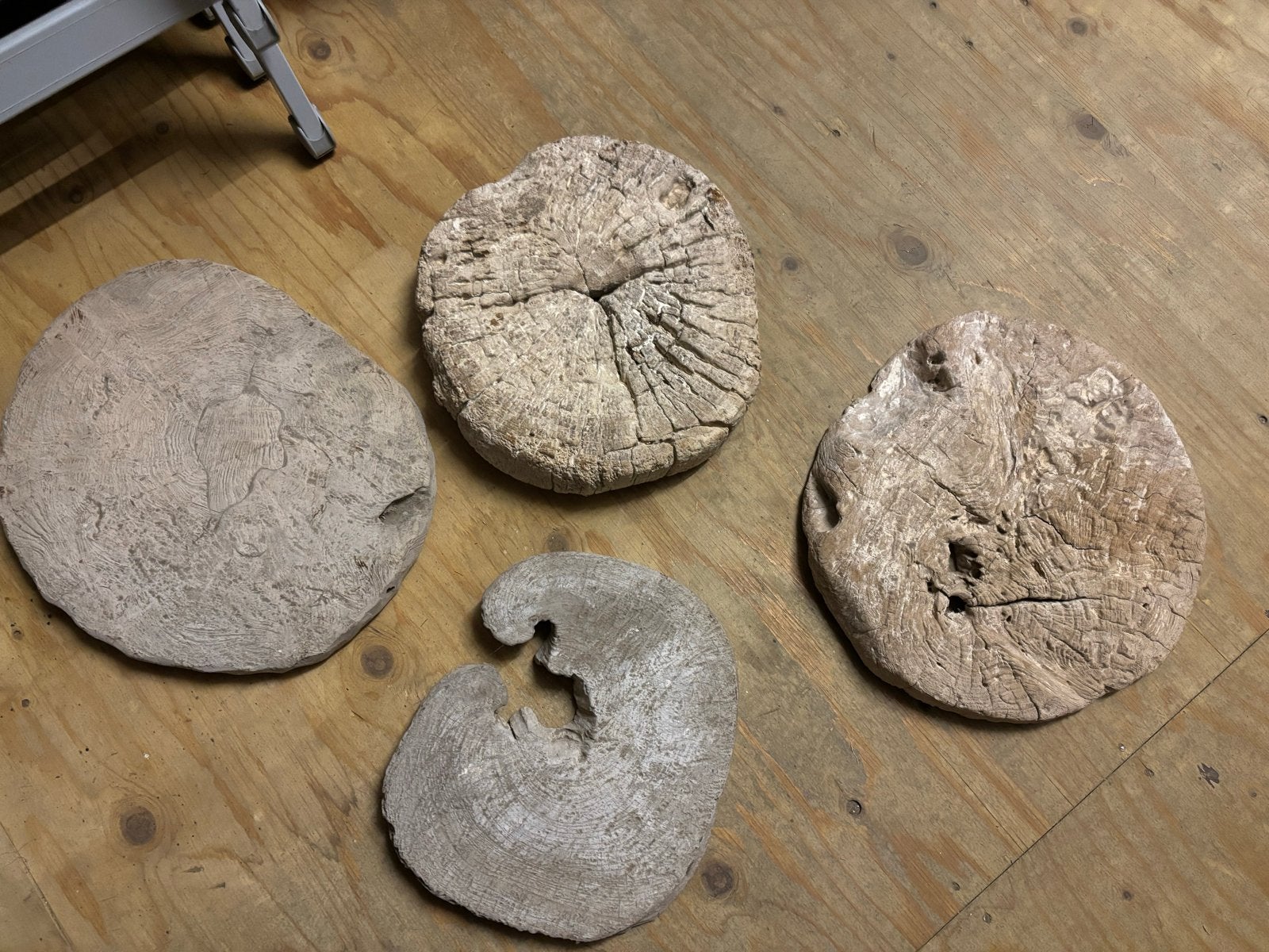 Unieke decoratieve houten schijven (4 stuks), Ophalen of Verzenden
