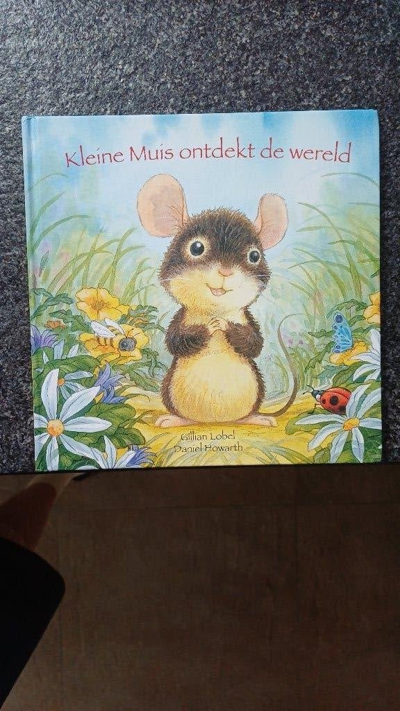 Kleine Muis ontdekt de wereld - Kinderboek, Boeken, Ophalen of Verzenden, Zo goed als nieuw, Gillian Lobel, 3 tot 4 jaar