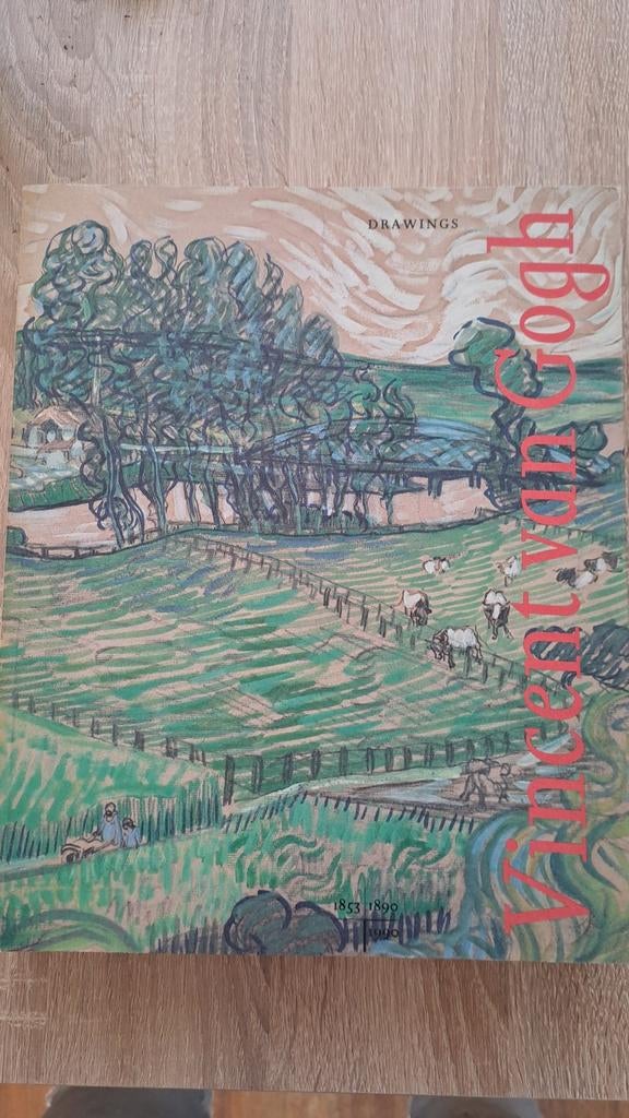 Vincent van Gogh  Drawings, Diverse auteurs, Ophalen of Verzenden, Zo goed als nieuw, Schilder- en Tekenkunst