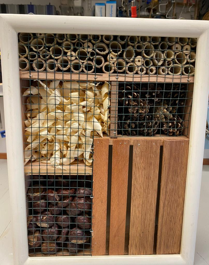 Insekten hotel, Overige soorten