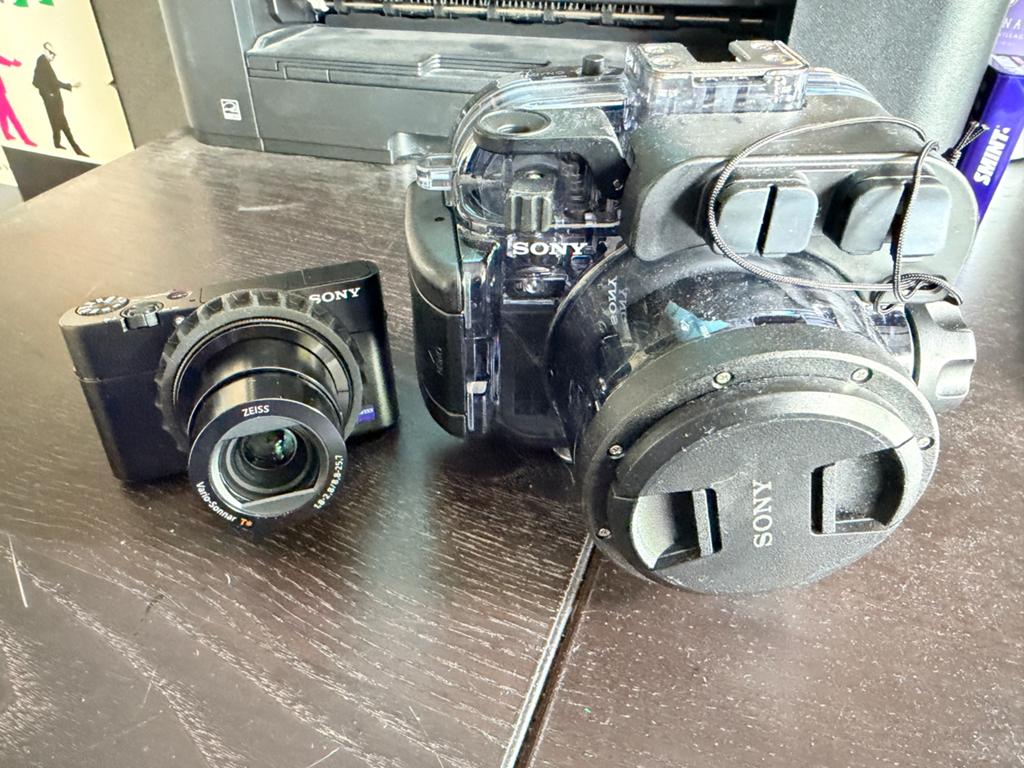 Sony DSC-RX100Va met onderwaterhuis, Audio, Tv en Foto, Fotografie | Onderwatercamera's, Ophalen of Verzenden, Zo goed als nieuw