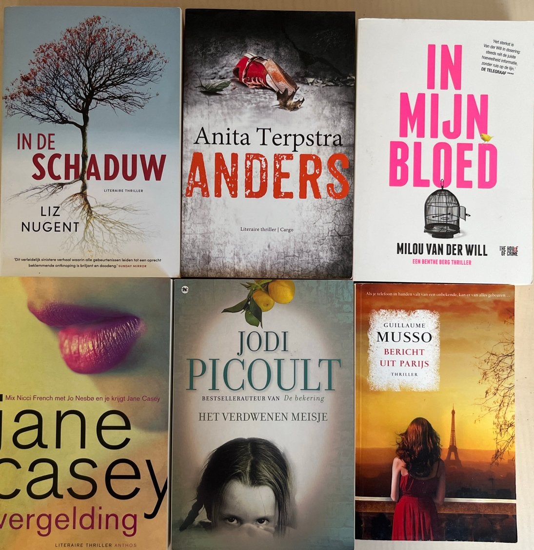 6 thrillers, Milou van der Wil, Jane Casey, Liz Nugent, Boeken, Ophalen of Verzenden, Zo goed als nieuw, Nederland