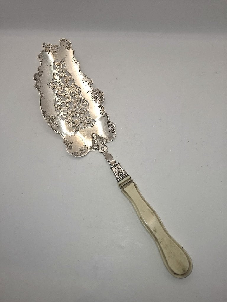 Antiek Hollands zilveren visschep uit 1859, Ophalen of Verzenden