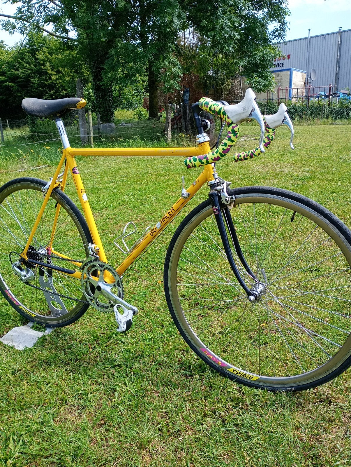 Bioracer staal 54 cm  Campagnolo, Overige merken, Staal, Ophalen of Verzenden, Zo goed als nieuw