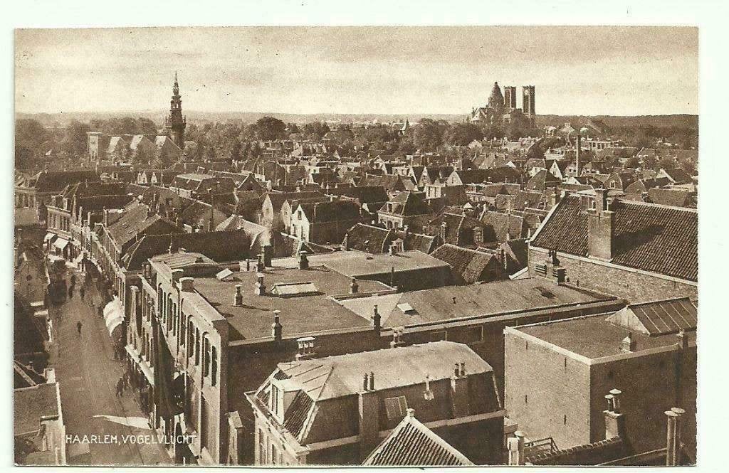 AK Haarlem - Panorama in Vogelvlucht, Ophalen of Verzenden, 1920 tot 1940, Ongelopen, Noord-Holland