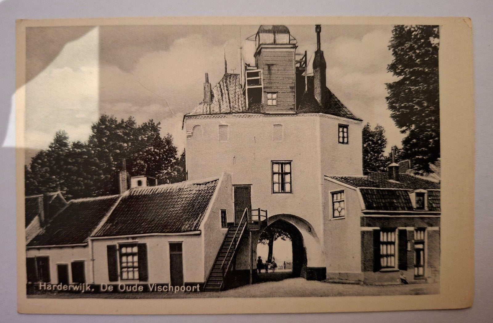 Foto/ ansichtkaart Harderwijk de Oude Vispoort, Ophalen of Verzenden, Voor 1940, Overige onderwerpen