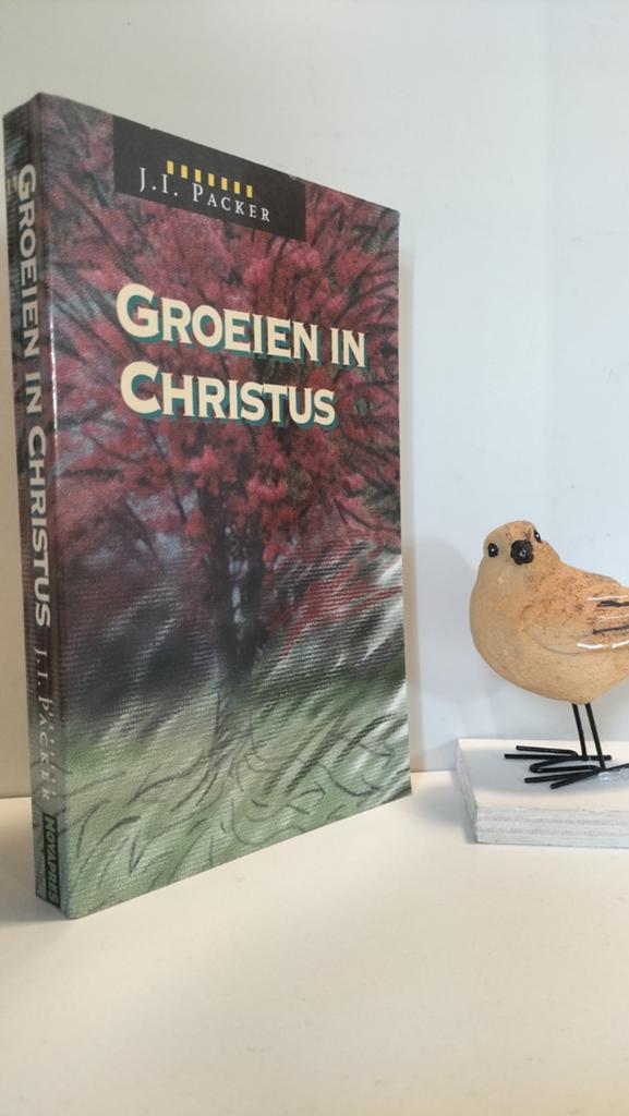 Packer, J.I, Groeien in Christus, Ophalen of Verzenden, Gelezen, Christendom | Protestants