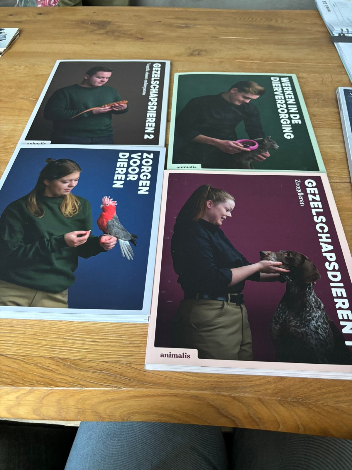School boeken Yuverta dierenverzorgen, Ophalen of Verzenden, Beta, Zo goed als nieuw, MBO
