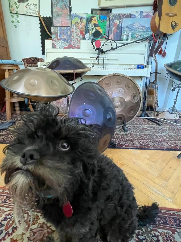 New Handpan 2 sizes📏⑿&⒁ notes 🤲🔨Perfect-pitch tuned by me, Ophalen of Verzenden, Melodische percussie