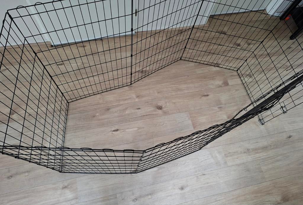 Honden/puppyren, Ophalen