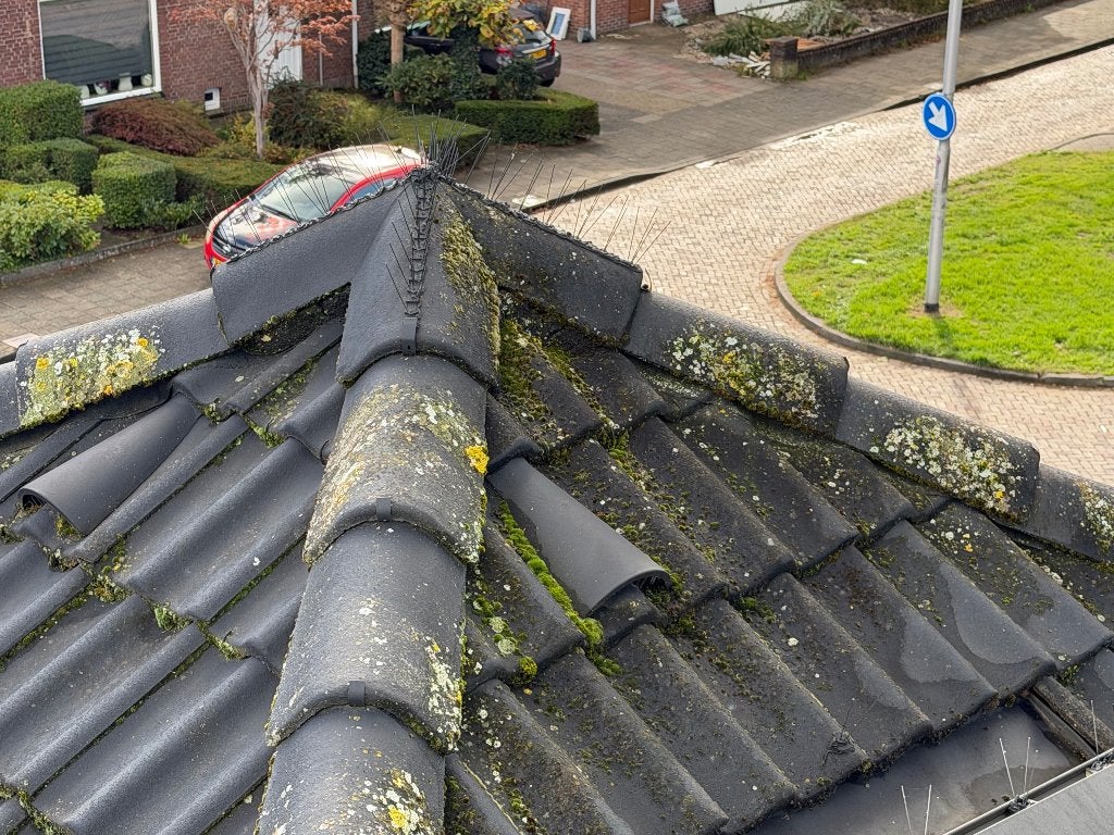 Finnhouse onderhoud /reiniging / schilderwerken /, Diensten en Vakmensen, Garantie, Buitenschilderwerk