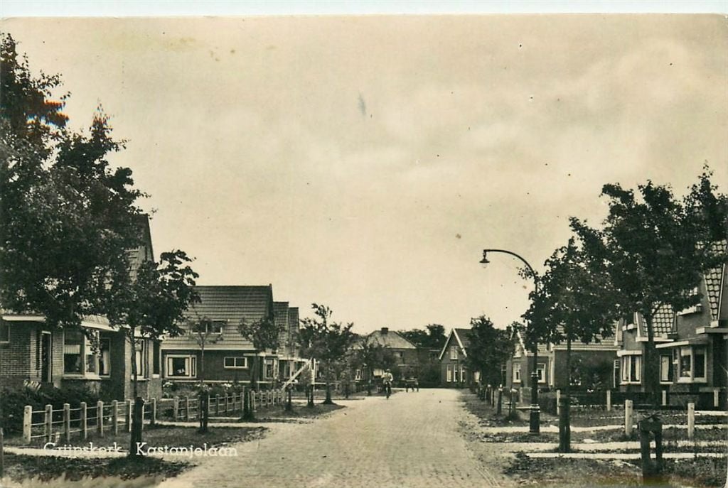 378-384-019 Grijpskerk Kastanjelaan, Verzenden, Voor 1920, Groningen